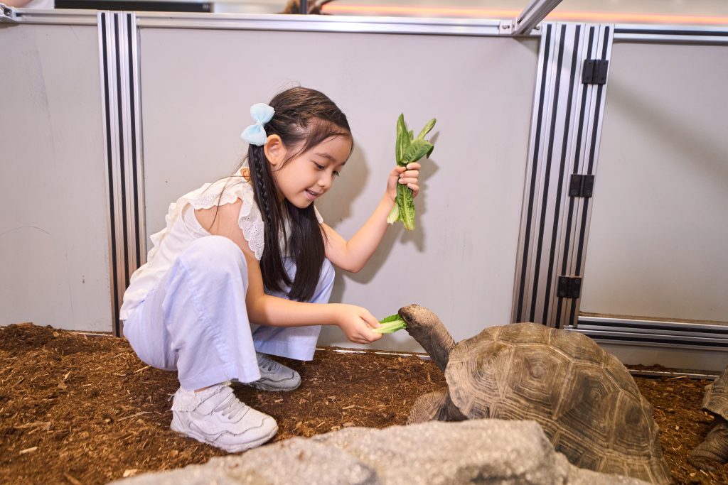 消費滿指定金額可換巨龜餵飼體驗，亦有工作坊優惠。