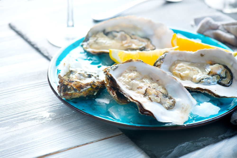 OYSTER