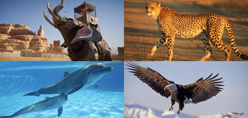 【心理測驗】你最想擁有哪種動物能力？測你享受生活的方式