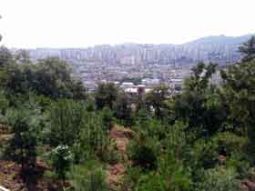阿妙搬家了，住半山呀！