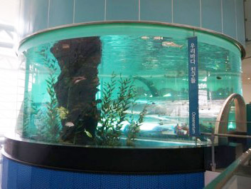 釜山免費水族館！