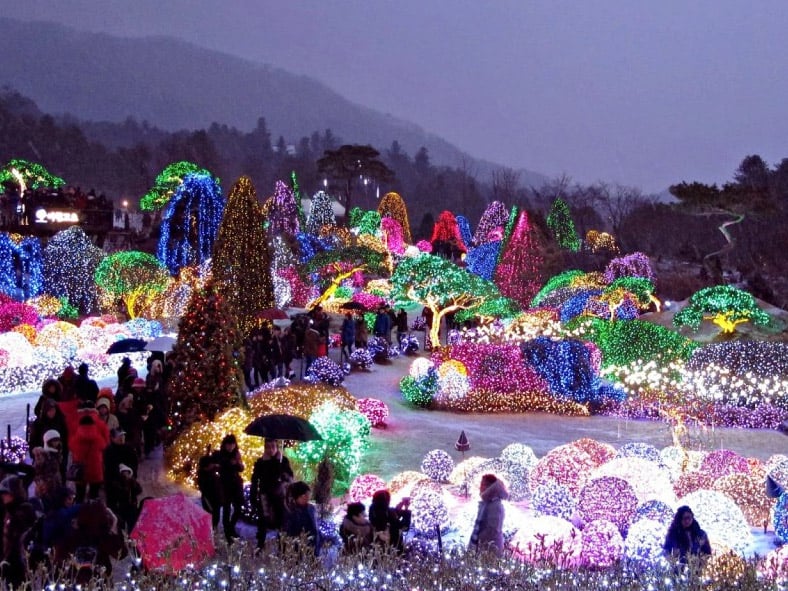 白日平和恬靜，夜裡變身浪漫的小精靈村莊：加平晨靜樹木園。五色星光庭園展