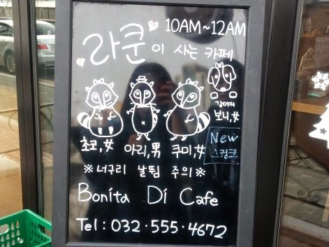 親親浣熊 Bonita Di café (너구리카페 )