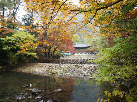 韓國|全羅道 楓葉之都內藏山‧白羊寺介紹
