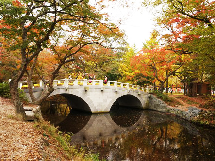 韓國|全羅北道 禪雲寺介紹