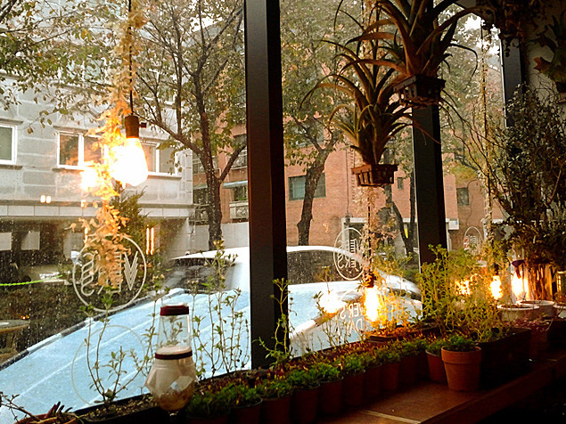 延南洞秘密花園咖啡店 VERS GARDEN