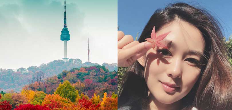 【韓國賞楓2019】睇紅葉有貼士!7大市區郊外紅葉景點全攻略