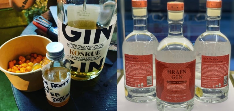 夏天喝一口清新的Gin酒！